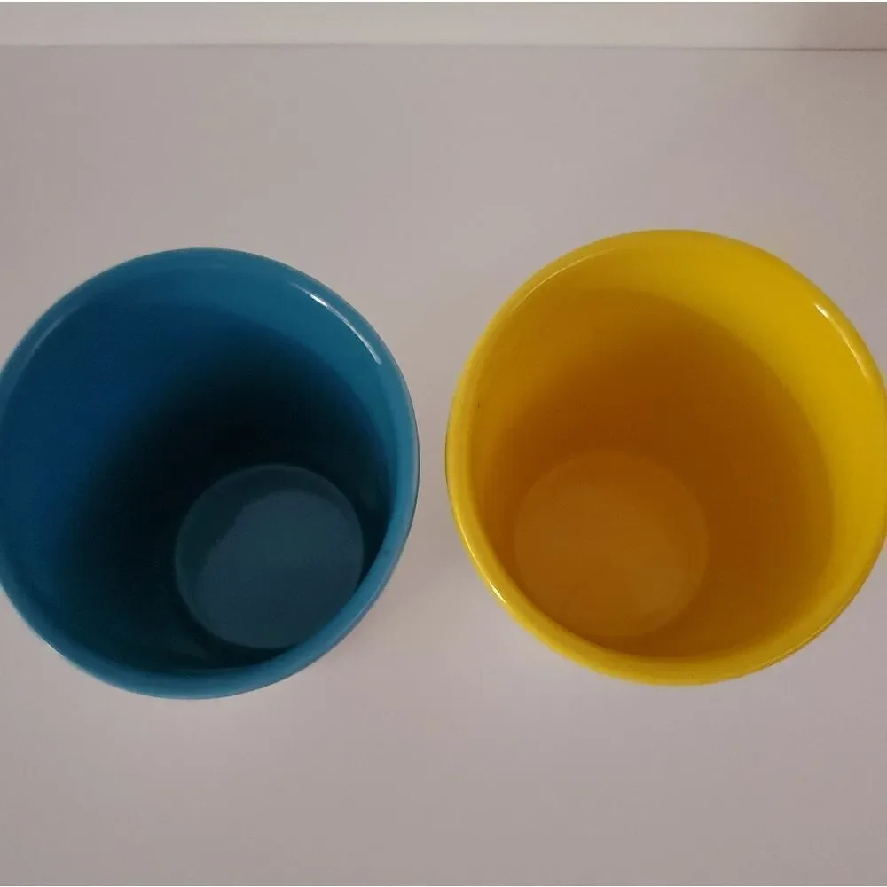 Starbucks Tazo Tea Cups Set of 2